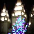 写真: Christmas at Temple Square