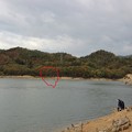 秋の前川ダム　3