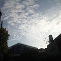 写真: 母校とうろこ雲