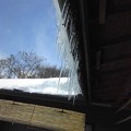 写真: 郡山の家の屋根から氷柱・・...