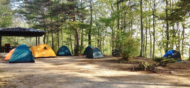 写真: キャンプ場の風景