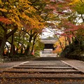 写真: 紅葉 秋の京都 毘沙門堂門跡
