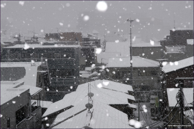 写真: ＜2013年1月14日 Tokyo ／雪＞
