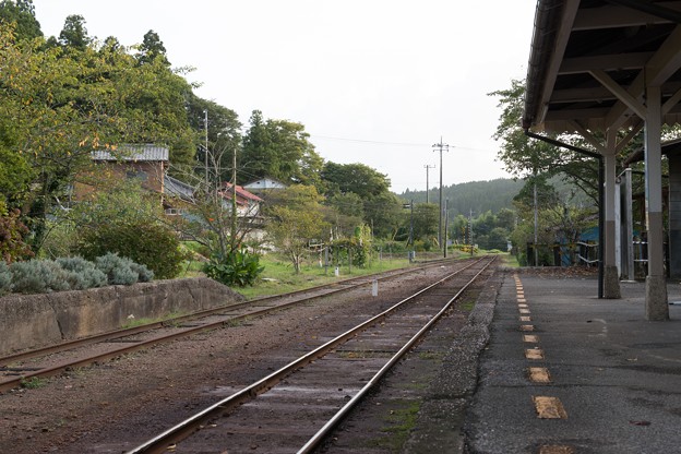 写真: 小湊鐵道（D800) 026