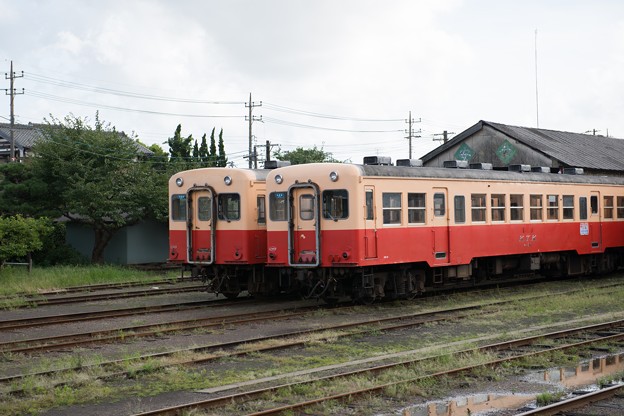 写真: 小湊鐵道（D800) 003