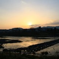 写真: 鏡川の朝.2