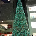 キャナルガーデンのクリスマスツリー(1)