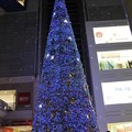 キャナルガーデンのクリスマスツリー(2)