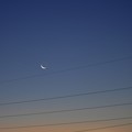 12月12日早朝、細い月と水星、金星が並ぶ ?