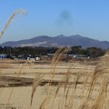 写真: 冬の筑波山