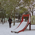 写真: 雪の公園