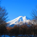 冬の林から望んだ富士