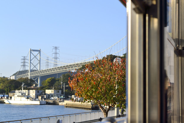 写真: 関門橋の秋