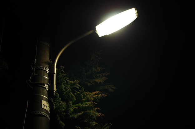 写真: 夜の街灯