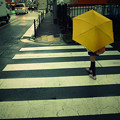 写真: 黄色い傘