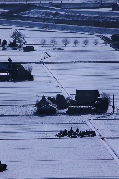 写真: 雪の散居村