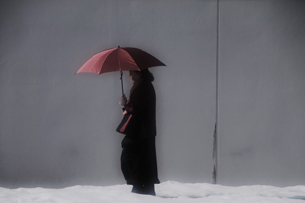 写真: 真冬の日傘