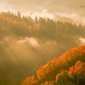 写真: 白峰西山の紅葉と光芒
