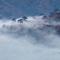 雲海の波を受ける竹田城