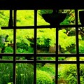 写真: 庭園の見える窓