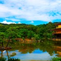 写真: 金閣寺の眺めは最高