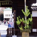 写真: 徳川園・黒門 (2)