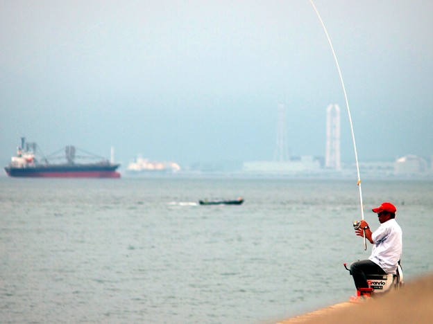 写真: 海釣り