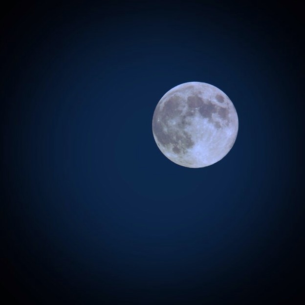 写真: Night with a full moon