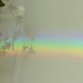 写真: ビルの中の虹♪