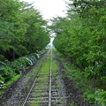 真岡鉄道49