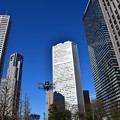 写真: 西新宿高層ビル群