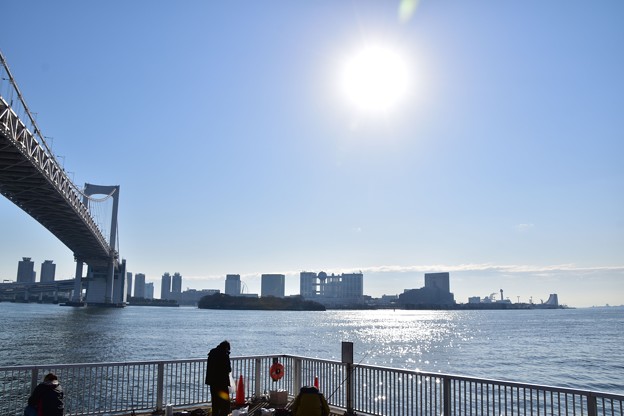 写真: 東京湾岸