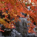 写真: 滝と紅葉