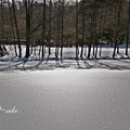 雪の積もった池