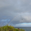 写真: はじめてのダブルレインボウ。左にも虹がっ
