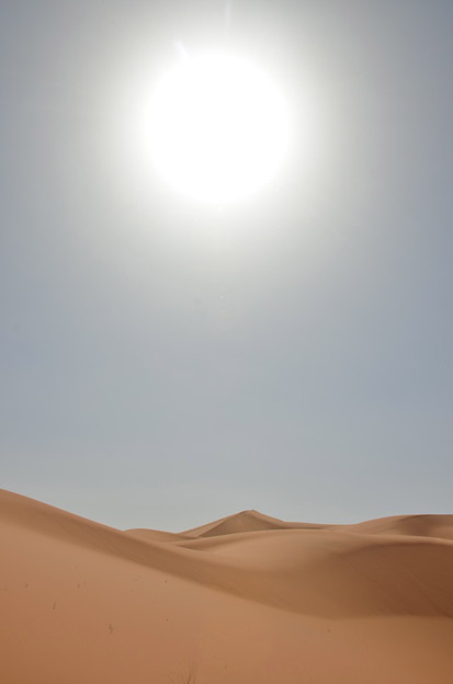サハラ砂漠の砂丘3