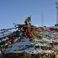 写真: チベットフラグ