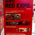 AURIS RED EXPO in ラシック：ポスター