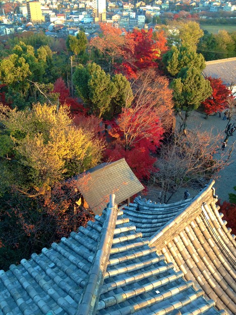 写真: 犬山城：天守閣最上階からの眺め - 15