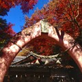 写真: 桃太郎神社 - 032