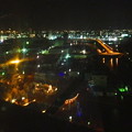 写真: 名古屋港シートレインランド：大観覧車から見た夜景 - 13