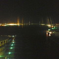 写真: 名古屋港シートレインランド：大観覧車から見た夜景 - 14