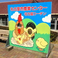 写真: 名古屋市農業センター：しだれ梅まつり - 085