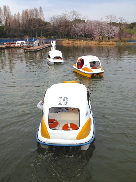 写真: 庄内緑地公園 - 060：ボート池のスワンボート