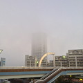 写真: 早朝、霧に包まれる桃花台ニュータウン - 1