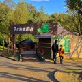 愛・地球博記念公園 No - 104：自然体感遊具（こどもの広場）