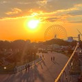 写真: 愛・地球博記念公園 No - 151：夕日と大観覧車