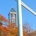 写真: 東山動植物園の紅葉と東山スカイタワー No - 05
