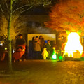 写真: 東山植物園 紅葉ライトアップ 2013 最終日 No - 07：星が丘門前のズーボのイルミネーション前で写真を撮る人々