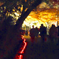 写真: 東山植物園 紅葉ライトアップ 2013 最終日 No - 24